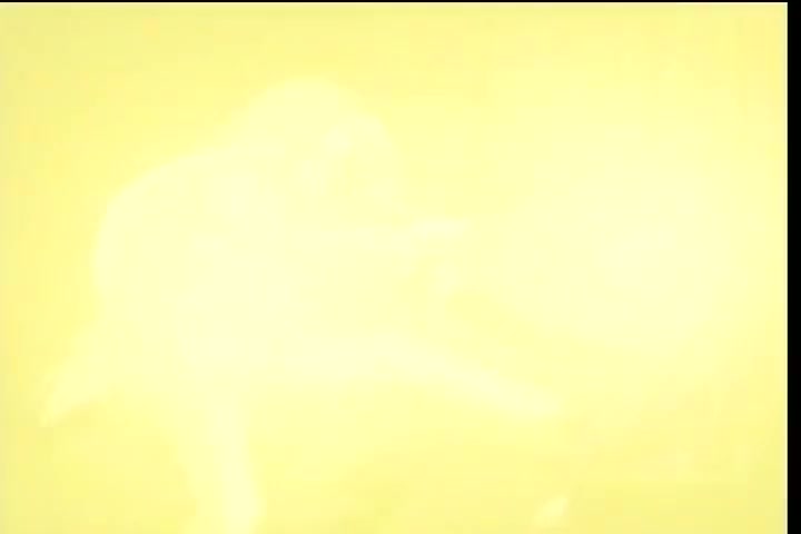 [Tsukyio Editing Resources] Hellsing (Episode 6) Raw Clips (164) (tsukyio.com).mp4